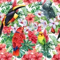 Print summer exotic jungle plant tropical palm leaves. Pattern, seamless floral and bird toucan, parrots Royalty Free Stock Photo