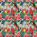 Print summer exotic jungle plant tropical palm leaves. Pattern, seamless floral and bird toucan, parrots Royalty Free Stock Photo