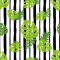 Print summer exotic jungle plant tropical palm leaves. Nature seamless pattern Black lines Royalty Free Stock Photo