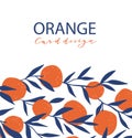 Composition with oranges and leaves. Vector universal card with place for text