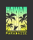 Print For T-shirt. Hawaii surfing. Grunge style.Vector illustration Royalty Free Stock Photo