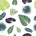 Tropical leaf flat design seamless pattern vector for decoration on summer season. Royalty Free Stock Photo