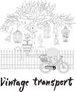 Vintage transport, vector illustration, bicycle