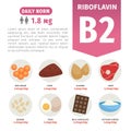 Vector poster products with vitamin B2.