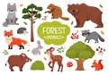 Vector set forest animals.