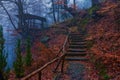 Print for Wallpaper of a fog in the forest above the lake Royalty Free Stock Photo