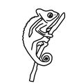 Printable chameleon coloring page for kids