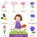 Printable flash card for flowers and little girl picking flower Royalty Free Stock Photo