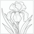 Printable Iris Coloring Pages In Faience Style