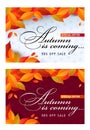 PrintDiscount sale print banners for markets of autumn season.