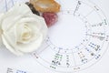 Printed astrology birth chart and crystal healings for seven chakras, workplace of astrology, spiritual, The callings, hobbies and