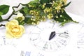 Printed astrology birth chart and white flowers and pendulum , workplace of astrology, spiritual, The callings, hobbies and