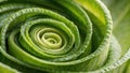 Printed food showing concentric green slices of leek vegetable Royalty Free Stock Photo