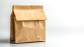 Printed paper bag for shopping and consumerism. Royalty Free Stock Photo