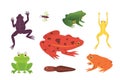 PrintExotic amphibian set. Frogs in different styles Cartoon Vector Illustration isolated. tropical animals