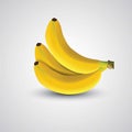 Printfresh banana fruit isolated in white background Royalty Free Stock Photo