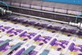 Printing 20 SEK Swedish krona money banknotes