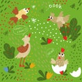 Printpattern about the life of funny birds Royalty Free Stock Photo