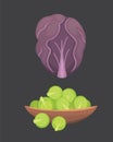 PrintSet vector Cabbage and Lettuce. Vegetable green broccoli, kohlrabi, other different cabbages.