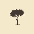 Stone Pine, hand drawn silhouette. Vector sketch of mediterranean coniferous tree.