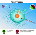 Prion Theory. Mad Cow Disease Royalty Free Stock Photo