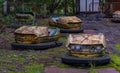 Pripyat Amusement Park Royalty Free Stock Photo