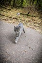 Pripyat ghost town in the Ukraine