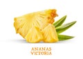 Tranches d`ananas Victoria mÃÂ»res sur fond blanc Royalty Free Stock Photo
