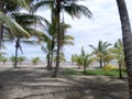 Masachapa Beach. Nicaragua