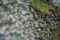 Prism wall - basalt columns in Bavaria, Germany