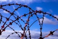 Prison. Barbed wire. Barbed wire on blue sky background with white clouds. Wire boom. Military conflict . Syria. Royalty Free Stock Photo