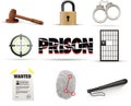 Prison & crime icon set