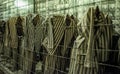 Prison robe of imprisoned Jews and prisoners of war in Auschwitz concentration camp