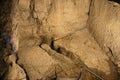 Prison of The Jesus Christ and Baraba, Jerusalem, Israel