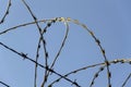 Prison wall barbed wire fence with blue sky in background Royalty Free Stock Photo