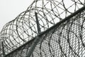 Prison wire Royalty Free Stock Photo