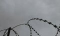 Prison wire fence Royalty Free Stock Photo