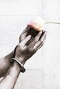 prisoner hand holding a flower