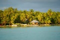 Pristine beach in Bora Bora featuring lush, swaying palm trees against a stunning tropical backdrop Royalty Free Stock Photo