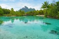 Pristine beach in Bora Bora featuring lush, swaying palm trees against a stunning tropical backdrop Royalty Free Stock Photo
