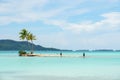 Pristine beach in Bora Bora featuring lush, swaying palm trees against a stunning tropical backdrop Royalty Free Stock Photo