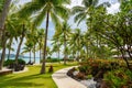 Pristine beach in Bora Bora featuring lush, swaying palm trees against a stunning tropical backdrop Royalty Free Stock Photo