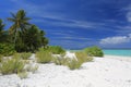 Pristine beach, Christmas Island, Kiribati Royalty Free Stock Photo