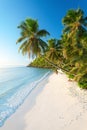 Pristine Beach in Seychelles Royalty Free Stock Photo