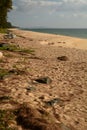 The pristine beach of Thai Mueang. Khao Lampi - Hat Thai Mueang national park. Phang Nga province. Thailand