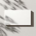 Blank White Card Mockup with Natural Plant Shadows Royalty Free Stock Photo