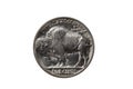 Pristine Buffalo Nickel on white background Royalty Free Stock Photo