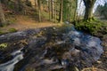 Waters of fast river running through spring forest lit by golden