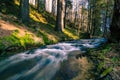 Waters of fast river running through spring forest lit by golden