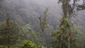 The Pristine Cloud Forest Of Mashpi On A Foggy Weather Located In Ecuador. -wide